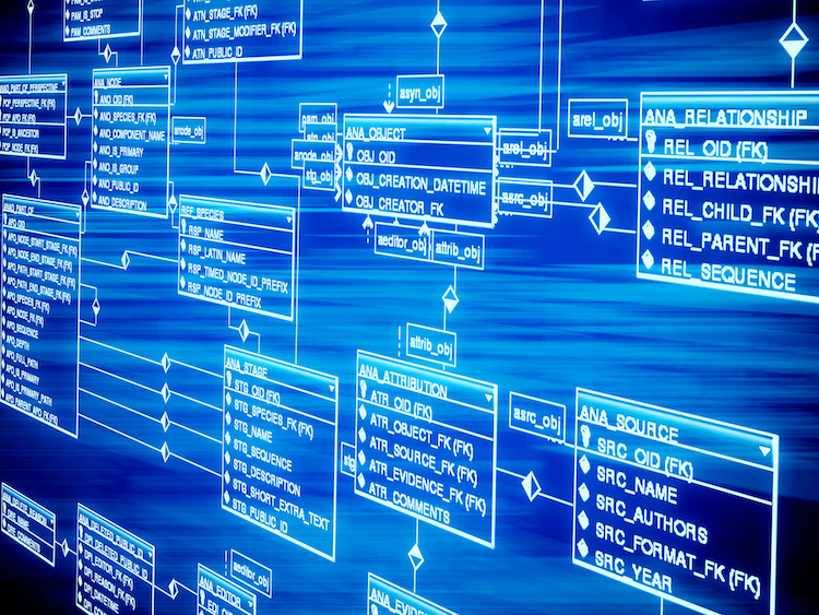 Donor Management Database Examples Feature - Donor Management - NonProfitEasy