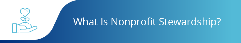 What is Nonprofit Stewardship?